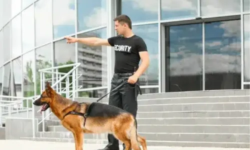 Deutsches Unternehmen für Leibwächter und Sicherheitsdienste (1)